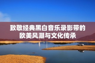 致敬经典黑白音乐录影带的欧美风潮与文化传承