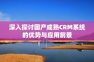 深入探讨国产成熟CRM系统的优势与应用前景