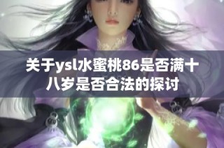 关于ysl水蜜桃86是否满十八岁是否合法的探讨