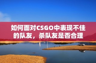 如何面对CSGO中表现不佳的队友，杀队友是否合理