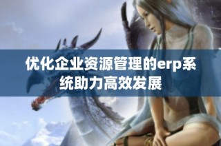 优化企业资源管理的erp系统助力高效发展