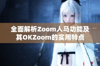 全面解析Zoom人马功能及其OKZoom的实用特点