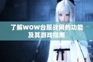 了解WOW台服战网的功能及其游戏指南