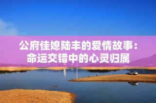 公府佳媳陆丰的爱情故事：命运交错中的心灵归属