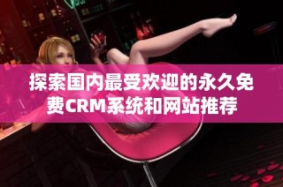 探索国内最受欢迎的永久免费CRM系统和网站推荐