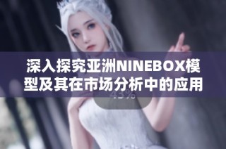 深入探究亚洲NINEBOX模型及其在市场分析中的应用与意义