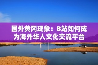 国外黄冈现象：B站如何成为海外华人文化交流平台