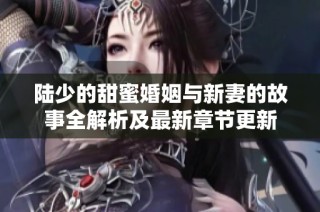陆少的甜蜜婚姻与新妻的故事全解析及最新章节更新