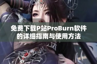 免费下载P站ProBurn软件的详细指南与使用方法