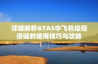 详细解析GTA5中飞机操控按键的使用技巧与攻略