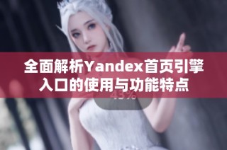 全面解析Yandex首页引擎入口的使用与功能特点