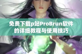 免费下载p站ProBrun软件的详细教程与使用技巧