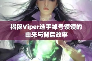 揭秘Viper选手绰号馍馍的由来与背后故事