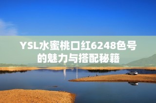 YSL水蜜桃口红6248色号的魅力与搭配秘籍