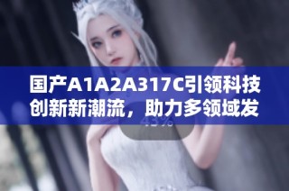 国产A1A2A317C引领科技创新新潮流，助力多领域发展