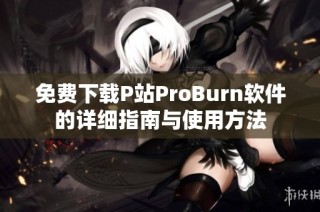 免费下载P站ProBurn软件的详细指南与使用方法