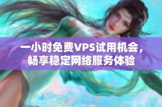 一小时免费VPS试用机会，畅享稳定网络服务体验