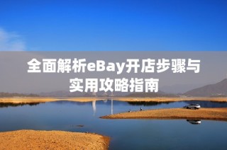 全面解析eBay开店步骤与实用攻略指南