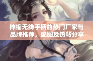 伸缩无线手柄的热门厂家与品牌推荐，配图及热帖分享