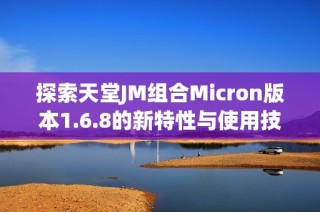 探索天堂JM组合Micron版本1.6.8的新特性与使用技巧