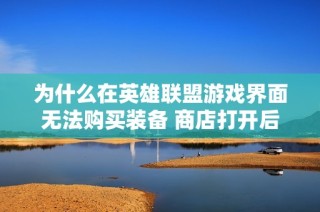 为什么在英雄联盟游戏界面无法购买装备 商店打开后却什么都看不见