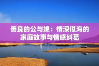 善良的公与媳：情深似海的家庭故事与情感纠葛