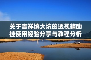 关于吉祥填大坑的透视辅助挂使用经验分享与教程分析