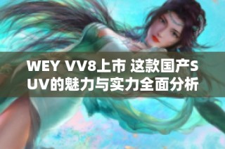 WEY VV8上市 这款国产SUV的魅力与实力全面分析