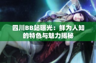 四川BB站曝光：鲜为人知的特色与魅力揭秘