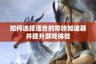 如何选择适合的哔咔加速器并提升游戏体验