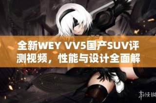 全新WEY VV5国产SUV评测视频，性能与设计全面解析