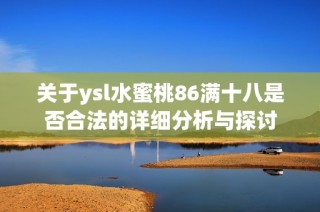 关于ysl水蜜桃86满十八是否合法的详细分析与探讨