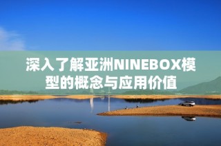 深入了解亚洲NINEBOX模型的概念与应用价值