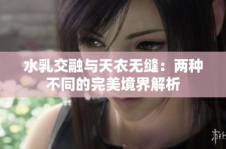 水乳交融与天衣无缝：两种不同的完美境界解析