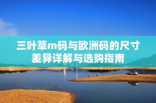 三叶草m码与欧洲码的尺寸差异详解与选购指南