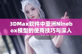 3DMax软件中亚洲Ninebox模型的使用技巧与深入解析