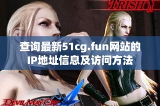 查询最新51cg.fun网站的IP地址信息及访问方法