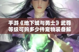 手游《地下城与勇士》武尊等级可购多少件宠物装备解析