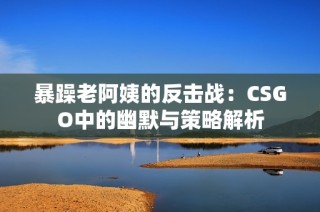 暴躁老阿姨的反击战：CSGO中的幽默与策略解析