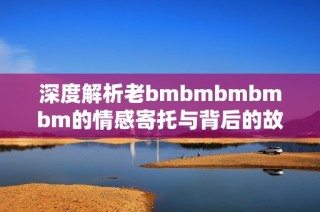 深度解析老bmbmbmbmbm的情感寄托与背后的故事