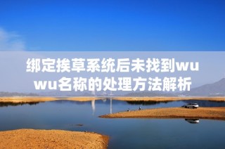 绑定挨草系统后未找到wuwu名称的处理方法解析