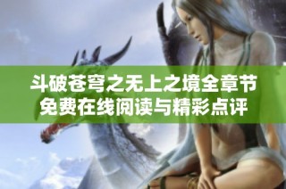 斗破苍穹之无上之境全章节免费在线阅读与精彩点评