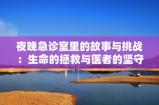 夜晚急诊室里的故事与挑战：生命的拯救与医者的坚守