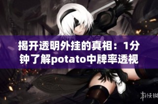 揭开透明外挂的真相：1分钟了解potato中牌率透视辅助工具