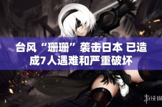 台风“珊珊”袭击日本 已造成7人遇难和严重破坏