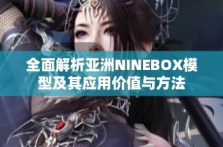 全面解析亚洲NINEBOX模型及其应用价值与方法