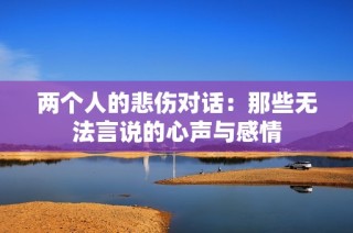 两个人的悲伤对话：那些无法言说的心声与感情