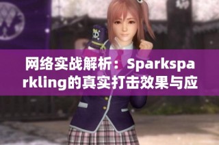 网络实战解析：Sparksparkling的真实打击效果与应用研究