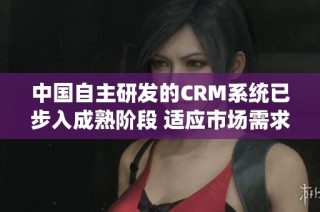 中国自主研发的CRM系统已步入成熟阶段 适应市场需求