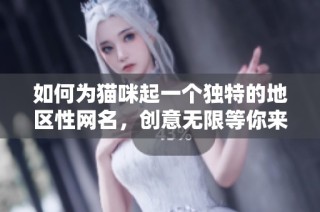 如何为猫咪起一个独特的地区性网名，创意无限等你来探索